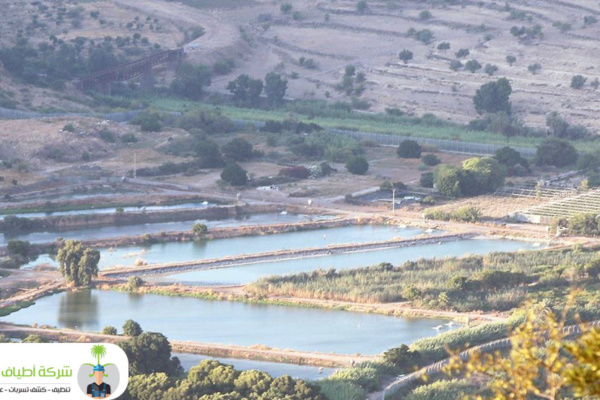 المياه الجوفية في الاردن المملكة الأردنية الهاشمية المتواجدة تحت سطح الأرض