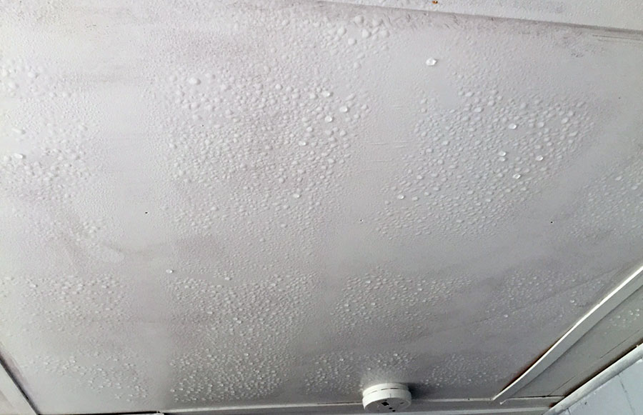 علاج الرطوبة في السقف | اكتشف ما هي أفضل طرق إزالة اثار الرطوبة بسقف المنزل وما هي اسباب ظهور سقوط الدهان