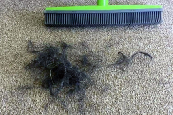 كيفية تنظيف السجاد من الشعر | اكتشفي خطوات ازالة شعر الحيوانات الاليفة والشعر العادي على الناشف